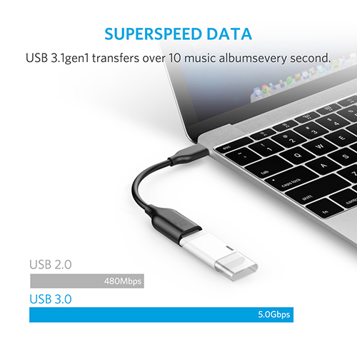 PowerLine USB-C to USB 3.1 Adapter